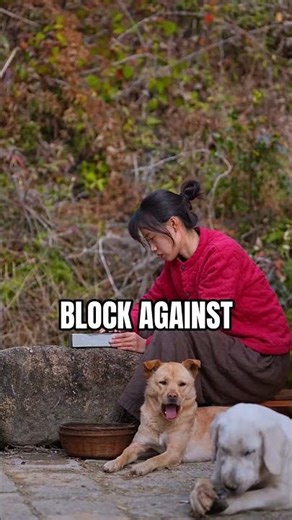 This is how dominoes are made 🤯🤯