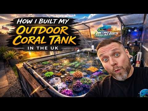 How i built my outdoor coral tank in the UK. My Reef Outside