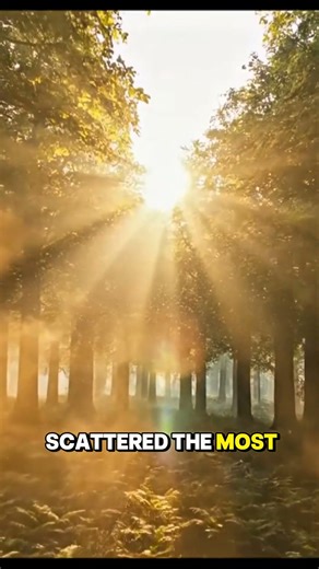 Why the Sky Looks Blue — Simple Science Explained #ytshorts #facts