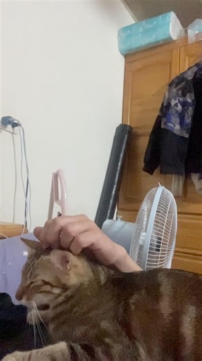 「原來我不是不合群，是不適合人擠人。」#人生 #成長記録 #過年