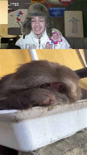 Powernap im Waschbecken