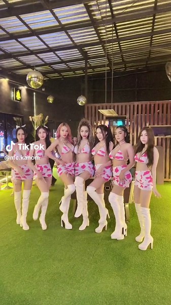 Matching Cow Print Bikinis for Fun Outdoor Photoshoot