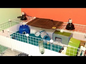 Hedgehog Heat Set Up