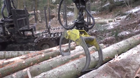 Giant GT In Action Moving Logs With Power