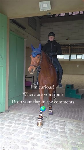 Hi, I'm a dutch dressage rider in france making tiktok's in english 😋