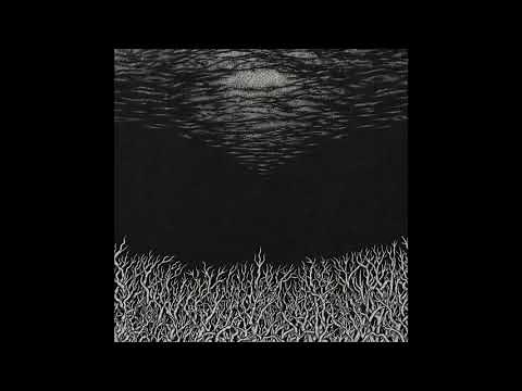 BISMUTH - The Slow Dying Of The Great Barrier Reef [FULL ALBUM] 2018