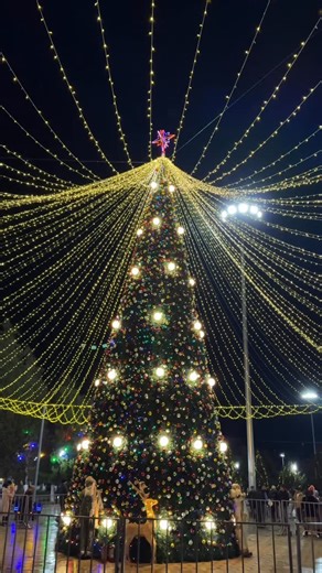 Olim Abdanov on Instagram: "Jizzax Paxtakor Archa 2025 #jizzax #archa"