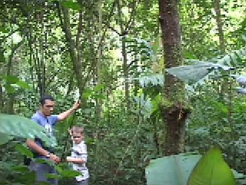 How chocolate is made