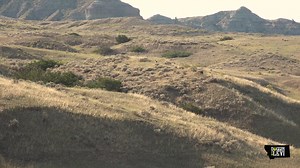 Clocking in! . . . . Element Outdoors BOG Hornady FOXPRO Inc. H-S Precision SIG SAUER Hunting Xpedition Archery Kenetrek Boots Nose Jammer Brand | Doggin with Levi