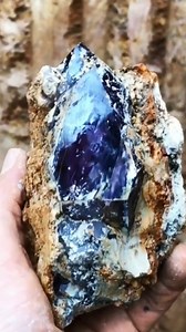 74K views · 1.9K reactions |  THROWBACK VIDEO - Musem Quality Amethyst Found by @The Crystal Collector - Whaaat!!!!! | The Crystal Collector | Facebook