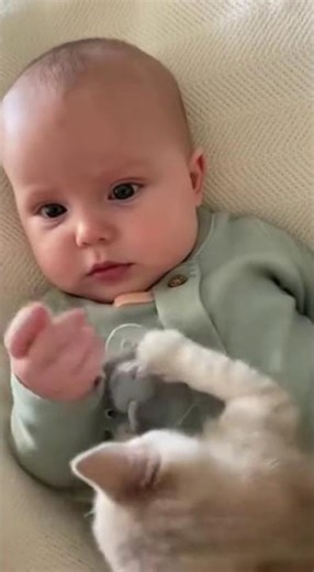Tiny Kitten Steals Baby’s Pacifier#Kitten#CatVideo#FunnyPets#BabyAndCat#CuteAnimals#CatBehavior