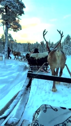 ✰ ⃟ ANI𝄟✮⃝❤ (@ani...69)’s videos with All I Want for Christmas - B.sound