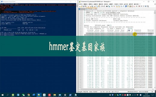 hmmer鉴定基因家族