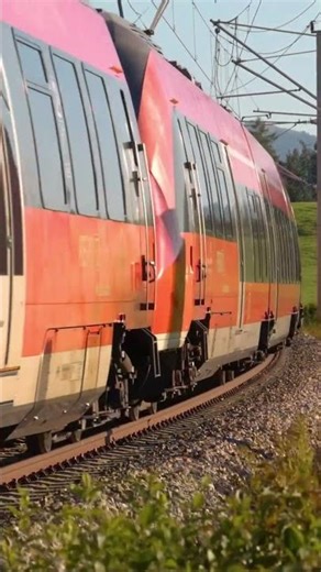 Ein Hamster auf unserer Anlage???🧐 #modellbahn #train #deutschebahn #railway #hobby #modeltrains