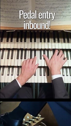 The PERFECT Cathedral Organ for Bach?