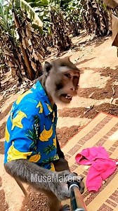 ผู้ได๋ลืมสาดปู🤣🤣🤣 #MuseMakers | Muse Makers เพจ 2