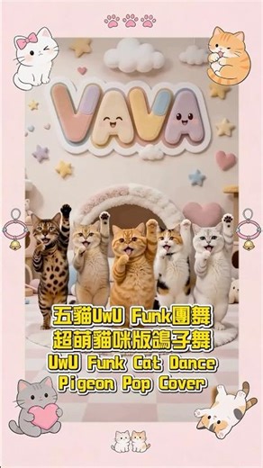 五貓團舞又來了！UwU Funk 超萌貓咪版鴿子舞 | 5 Cats Dance UwU Funk | Cute Pigeon Pop Dance Cover