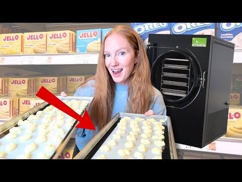 I FINALLY Tried The Viral Freeze Dried Dessert... Worth it??