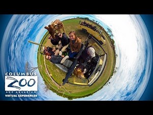 Columbus Zoo Heart of Africa Savanna Virtual Experience