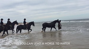 40K views · 469 reactions | Growing together as a team through shared experience, the horses and riders of The King's Troop Royal Horse Artillery take to beach as part of their military training. | British Army | Facebook