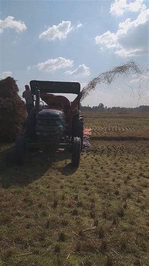 Rice thresher machine || Day 1 || Clip 1 || Nov 2025