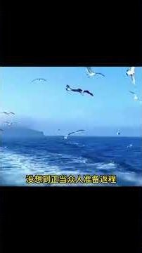 几位好心小伙救助千年老龟，最后令人感到意外惊喜！ # 海龟 # 万物皆有灵性
