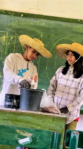 2nd Quarter Performance Task | GRADE 10 #TokawalNHS #OAP | Jerwin Nic Dollaga Rabe