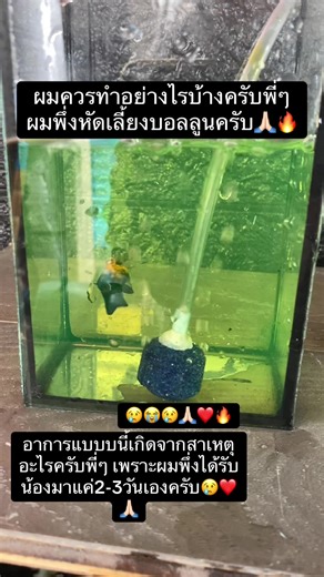 Aof Balloon A+ บน TikTok