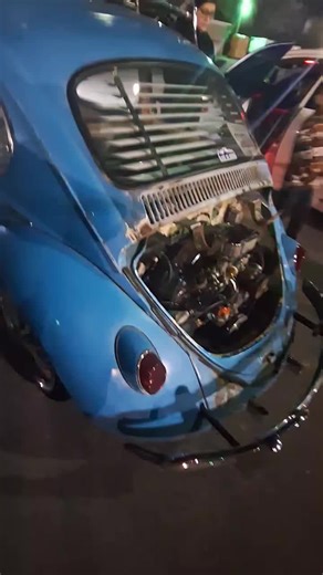 A nice Beetle