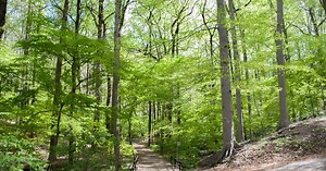 Little critters to take over Fernbank this weekend