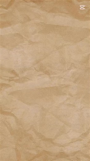 金沢 上島商店＿shinpei ueshima on Instagram: "2025.11.12 加能ガニ一番推し入荷いたしました🔥 こちらは完全予約制の時価の販売となっております✨ 皆様のご注文お待ちしております😊 #七尾#金沢#いきいき魚市#鮮魚#kanazawa#上島商店#石川県#金沢港#鮮魚販売#上島商店 #夕飯#昼食#魚#金沢#魚屋#いきいき魚市場#海鮮丼#石川県#ランチ#魚料理#加能ガニ#ズワイガニ#香箱#一番推し"