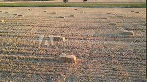 the future of agriculture, sustainable land, rural development programs and consolidation of fields and large agricultural areas