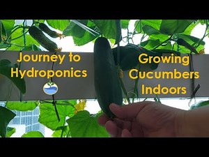 Part 1 - Indoor Cucumbers