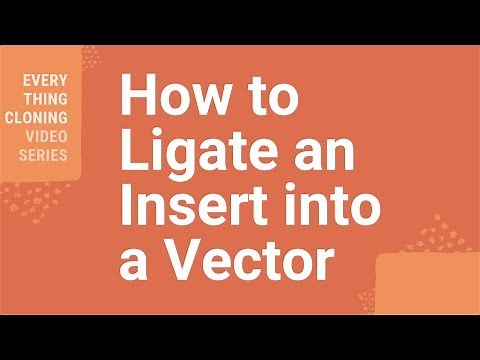 How to Ligate an Insert into a Vector