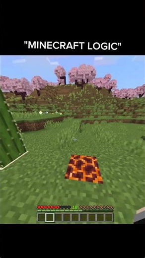 Minecraft Logic Makes Absolutely No Sense