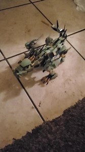 Watch Ready set action on Amazon Live