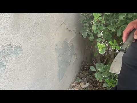 Fixing Blistered Stucco Wall Moisture Damage Step by Step #wall #moisturewallsdamage #wallrepair