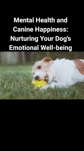 Title: Mental Health and Canine Happiness: Nurturing Your Dog's Emotional Well-being Introduction In the intricate world of dog ownership, one aspect often underestimated and overlooked is your canine companion's mental health. In Part Two of our series on recognizing signs of a sick dog, we delve into Chapter 6 to explore the fascinating realm of mental health and its impact on your dog's happiness. Much like humans, dogs experience a wide range of emotions, and understanding their emotional we
