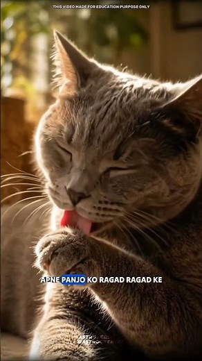 The secret behind cat claws #science #sciencefacts