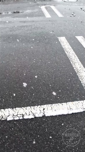 Slow Motion Snow Falling on Black Asphalt Minimal Winter Scene 4K