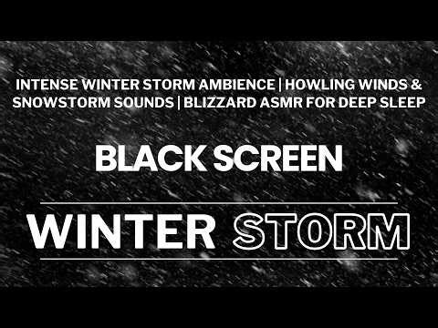 Intense Winter Storm Ambience | Howling Winds & Snowstorm Sounds | Blizzard ASMR for Deep Sleep