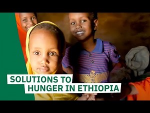 How to solve hunger in Ethiopia.