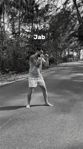 The King Boxer: A Journey into Boxing Mastery