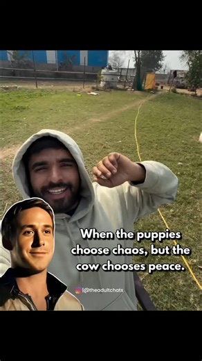 Memes on Instagram: "A heartwarming video has captured a sweet moment where a litter of energetic puppies playfully “attacks” a resting cow, nipping at her ears and swarming her with chaos. Despite having the sheer power to easily fend them off, the cow remains perfectly still and calm, tolerating the pint-sized ambush with a gentle demeanor that has melted hearts online. The touching interaction highlights the animal’s incredible patience, proving that true strength often lies in restraint and 