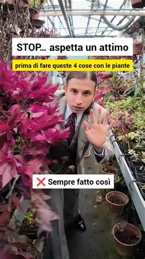 Un Quadrato di Giardino | Vivaio di piante resistenti km0 | 1. Guardare solo il fiore è il modo migliore per sbagliare: un giardino non è fatto di fioriture, ma di struttura, 365 giorni l’anno. 2.... | Instagram