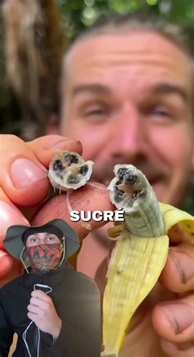 Jour 2 à te cultiver sur la nourriture : l’ancêtre des fruits et légumes