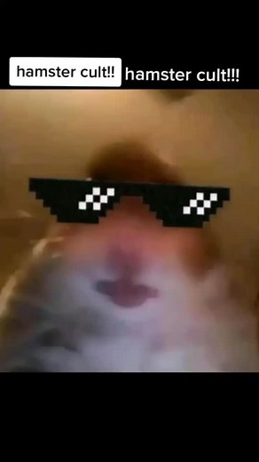 Hamster cult🐹 (@jaxon_hamster)’s videos with original sound - josiah lazo