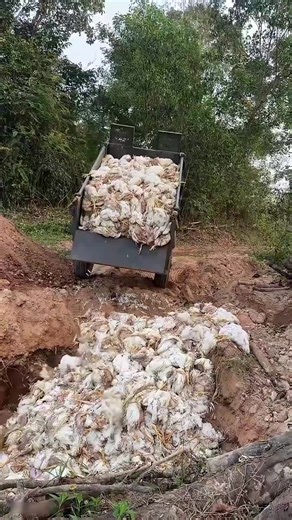 Mind-Blowing Facts You Didn't Know About