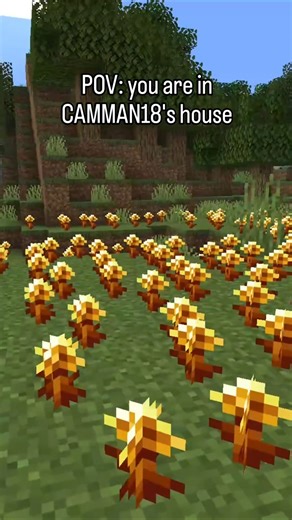 Minecraft youtuber's base