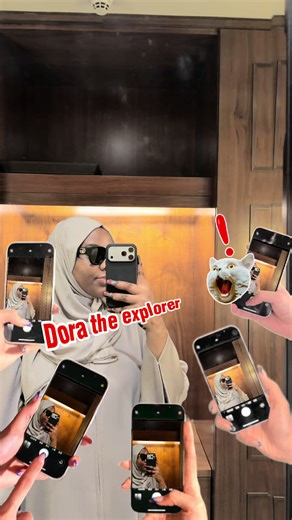 Surviving M Ark: A Journey Through Architecture and Life